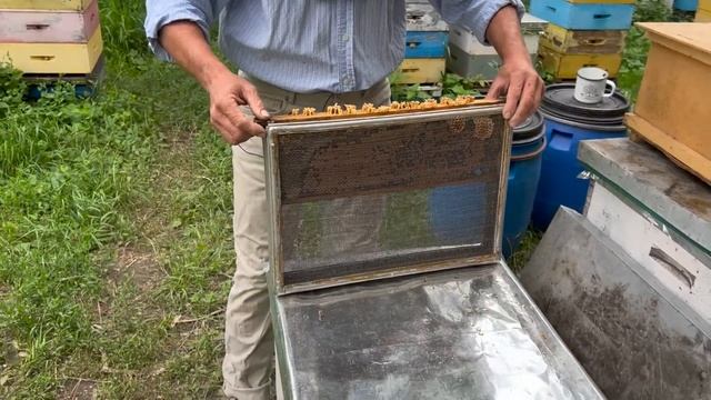 Виправлення сімей трутівок частина І смотреть онлайн