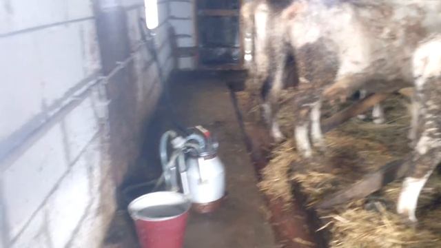 Доильный аппарат доильная система своими руками, возможности, смотреть онлайн