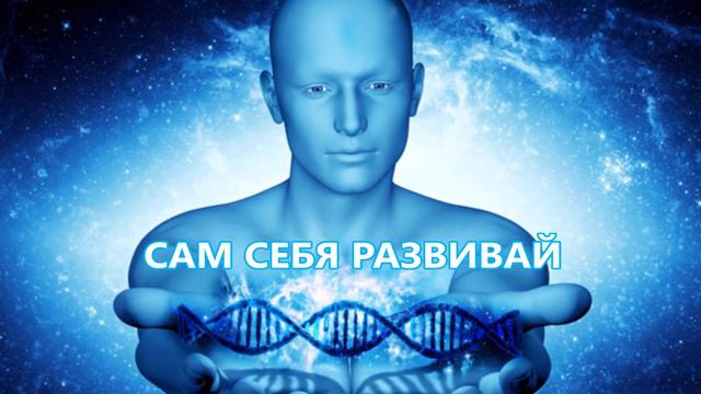 СВОБОДА ВЫБОРА И ЛИЧНАЯ ОТВЕТСТВЕННОСТЬ смотреть онлайн