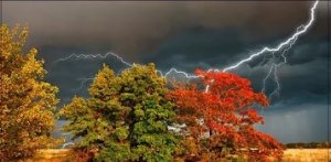 СВЯЩЕННОЕ ПРАВО НА МЕСТЬ.ЛЕКЦИЯ.ПРЯМОЙ ЭФИР.ВЕДЬМИНА ИЗБА.ИНГА ХОСРОЕВА.