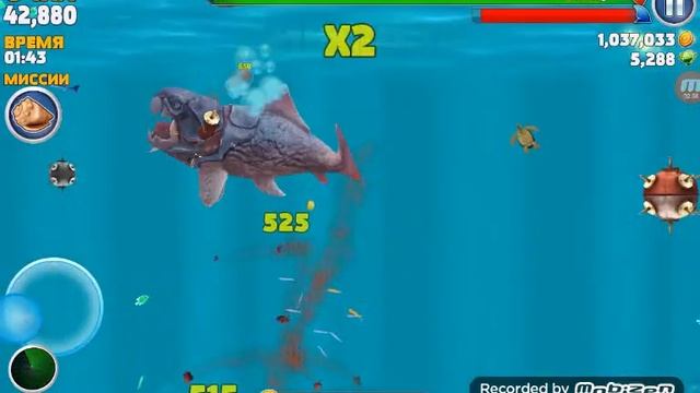 Hungry shark акула большой папочка (дунклиостей) смотреть онлайн