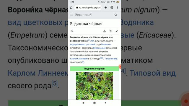 Что такое криптонит What Is Kryptonite