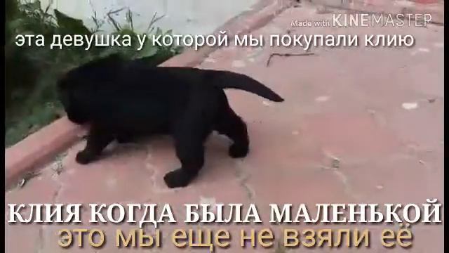 Клей Когда была маленькой. смотреть онлайн