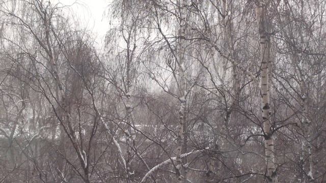 Снегопад в Москве 22 января 2011 г. смотреть онлайн