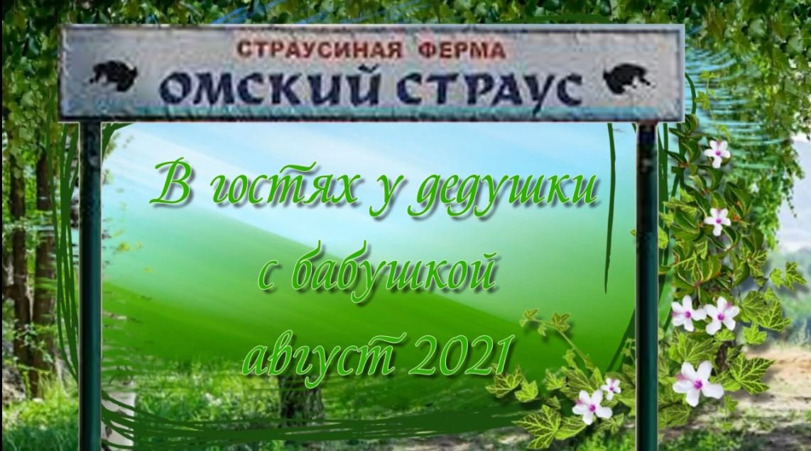 В гостях у дедушки и бабушки. Лето 2021.mp4 смотреть онлайн