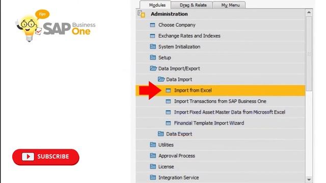 Import Business Partner Data from Excel on SAP Business One смотреть онлайн