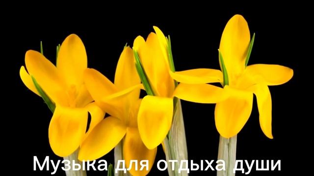 ПРОСТИ МЕНЯ, МАМА Музыка Сергей Грищук,,НИЧЕГО НЕ ГОВОРИ,,Музыка для отдыха души #музыка смотреть онлайн