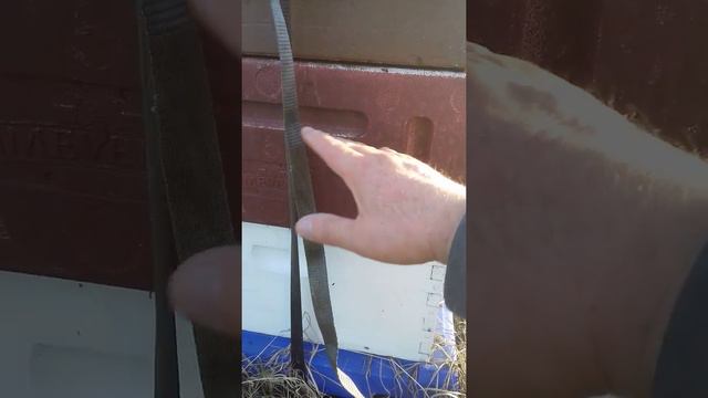 НЕПУТЕВЫЕ ПРОФИ = 2000ул (приехали )))) смотреть онлайн