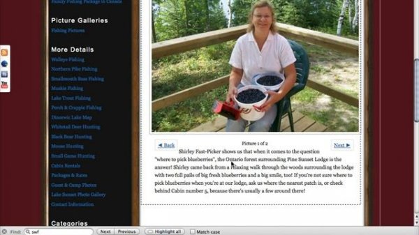 Search Engine Optimization of Wordpress Photo Gallery [NextGen]