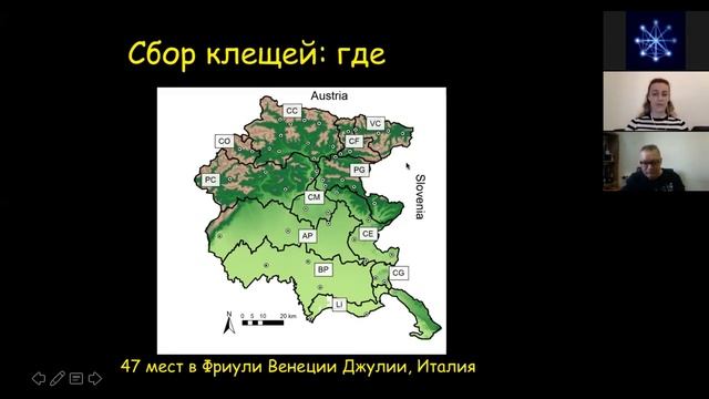 «Иксодовые клещи: биология, передаваемые заболевания и профилактика». Татьяна Трифонова