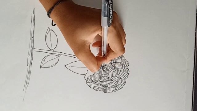 line art/doodle / how make liner rose /tutorial смотреть онлайн