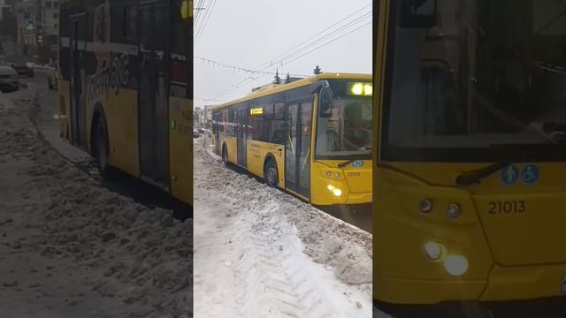 #ярославль #автобус #яавтобус 8 маршрут на линии ???? смотреть онлайн