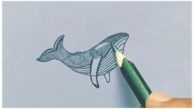 Simple Whale Drawing || fish sketch || #drawing #RBart смотреть онлайн