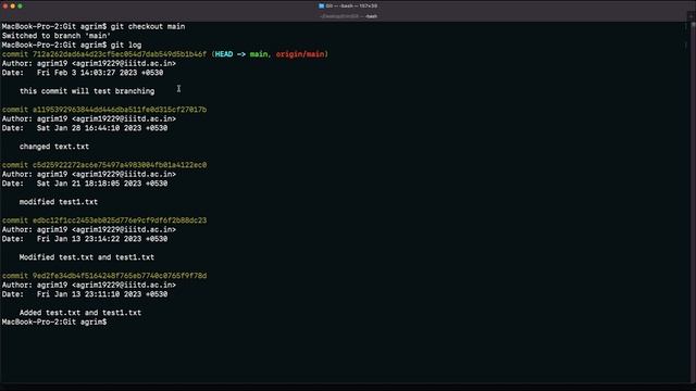 Git and Github for Beginners | Branching in Git | Part-2 | #5 | Entri Elevate Hindi смотреть онлайн