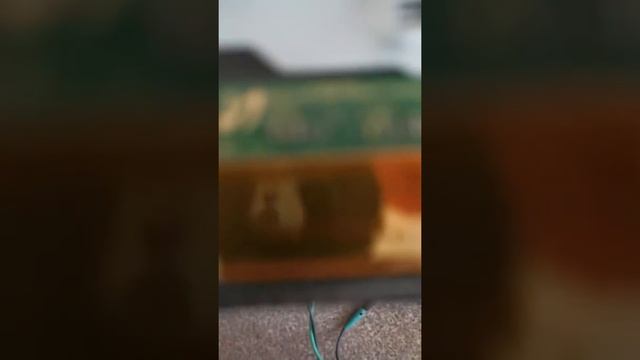 Samsung TV  включается и выключается с интервалом 3- 5 секуд