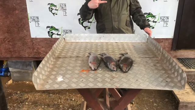 Безлимит - открытая вода. Поймали все! смотреть онлайн