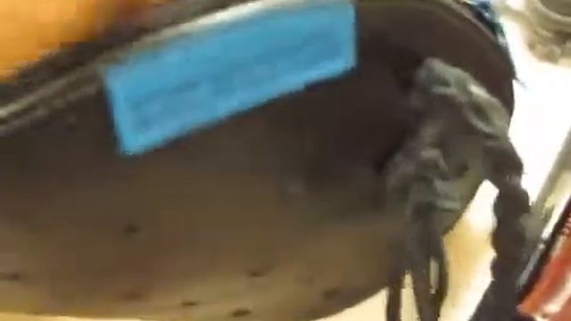 Хотите женские сумки недорого? Обзор необычной модели смотреть онлайн