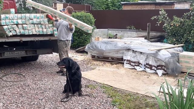 #вагонка #доставка #грузоперевозки #музейпса #жилбылпёс #вмузее #чёрныйпёспетербург #ЛРК #muzeumleo