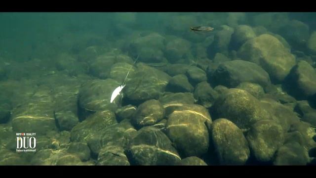 Lure Masterclass: Tetra Works Toto Shad - How To смотреть онлайн