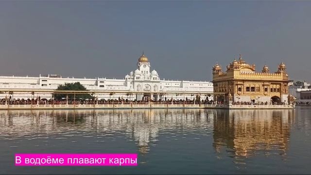 Столица штата Пенджаб-Амритсар.Город сикхов.Главная святыня-Золотой храм.
