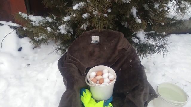 Куры несушки не несутся? - причины..... смотреть онлайн