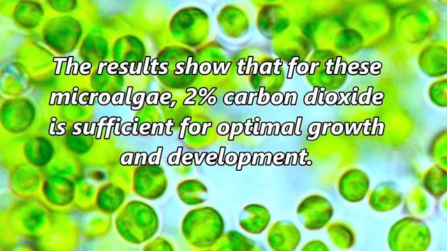 Influence of Temperature and CO2 on the Growth and Accumulation Oil of Microalgae смотреть онлайн