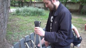 Как сделать правильные накладки на костыли своими руками, и кое-что о жизни без ноги