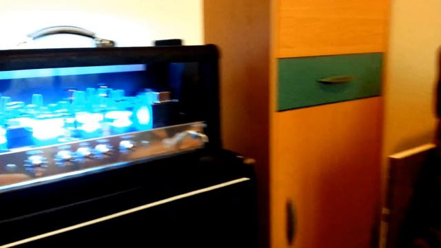 Fender stratocaster 1983, hughes&kettner puretone смотреть онлайн