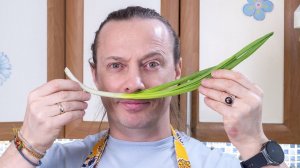 Что можно сделать из зеленого лука?