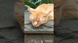 Обзор санатория Мыс Видный , корпус Арена в Хосте, июнь 2023 год