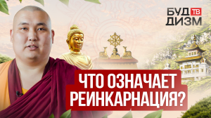 Выпуск 7 — Что означает реинкарнация?