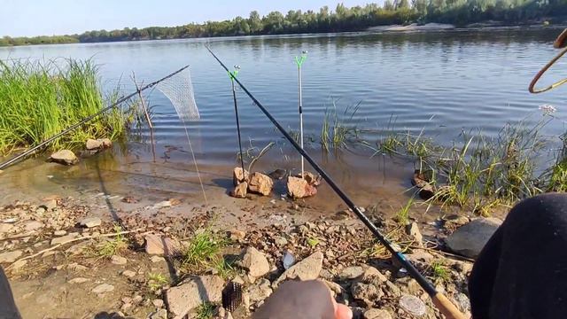 Рыбалка на реке Припять смотреть онлайн