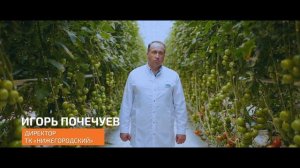 История успеха: ГК РОСТ
