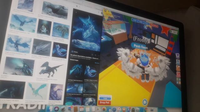 🥶🐲Adopt Me Pets In REAL LIFE! ROBLOX ADOPT ME🦇🐲 смотреть онлайн