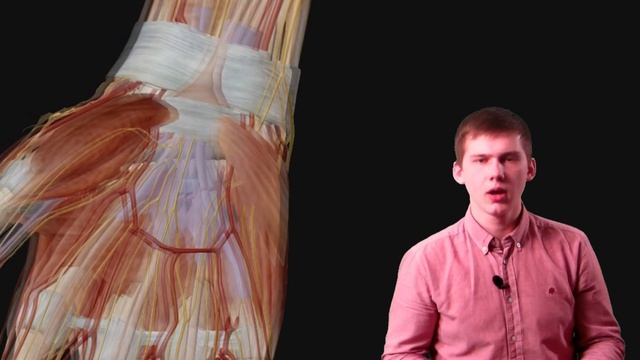 ПЛЕЧЕВОЕ СПЛЕТЕНИЕ смотреть онлайн