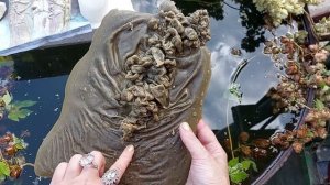 Чистка от вольтовой магии, морока, переклада чужого креста, грехов, расплат, всего злого колдовства