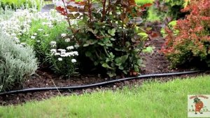 Капельный полив Синьор Помидор ECO 8,12,16,24,50 и 100 м