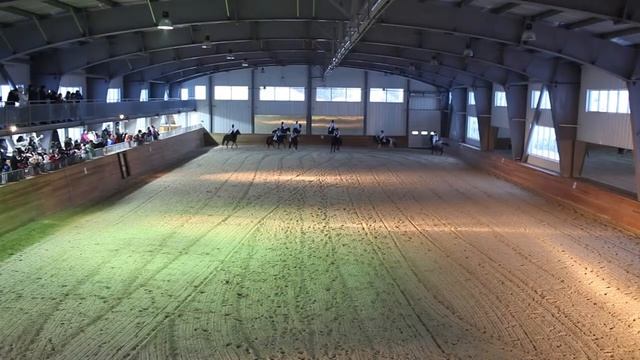 Новогоднее представление конный клуб "CHAMBERLAIN" смотреть онлайн