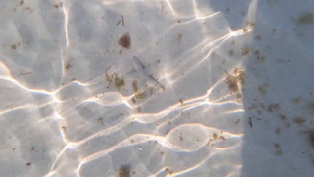 Al Khan Beach Sharjah || Open Beach In Sharjah || Family Friendly Beach In UAE || Fun With Family