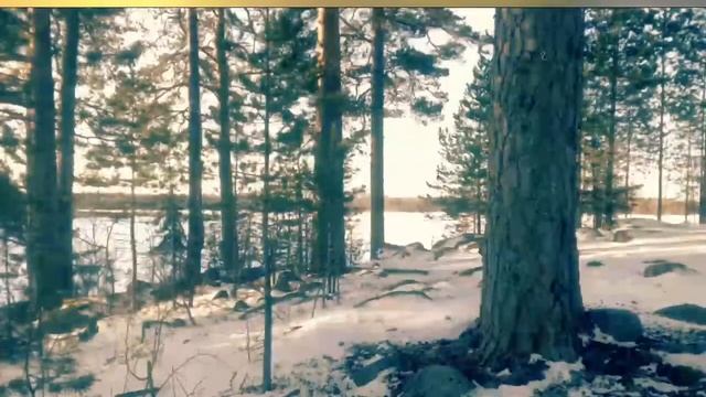 катаемся на снегоходах смотреть онлайн