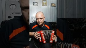 Гармонь ромашка