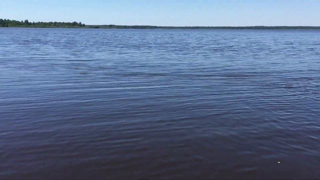 2021.06 Усвяты, Усвятское озеро, Псковская область смотреть онлайн