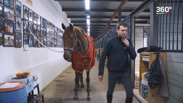 Спортивный принцип. Конный спорт в КСК "Отрада" смотреть онлайн