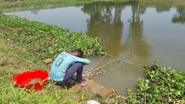 Traditional Boy Hunting Big Fish By Hook In Pound | Best Hook Fishing Video