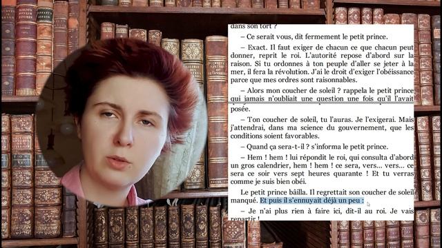 Маленький принц на французском языке с переводом Антуан де Сент-Экзюпери / Главы 10-12 смотреть онлайн