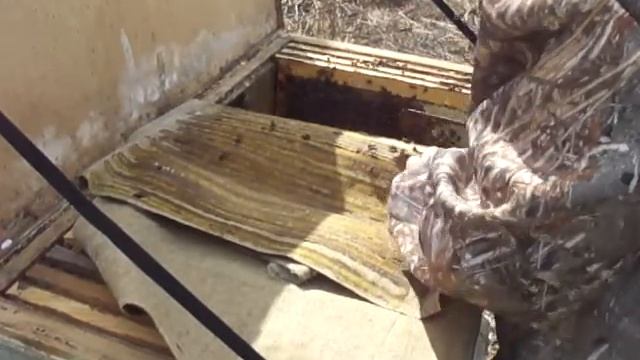 Весеняя ревизия ещё одна пчелосемья смотреть онлайн