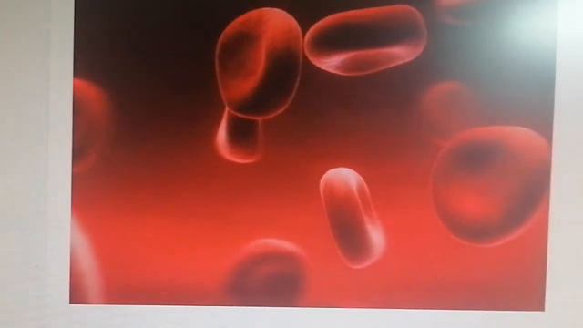 Белки. Практика. Задания из ЗНО👍😀🐿️🐿️ смотреть онлайн