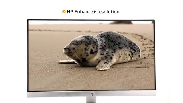 HP 23.8 inch Ultra Thin Edge to Edge LED Backlit Computer Monitor | Full HD | IPS Panel with VGA | смотреть онлайн