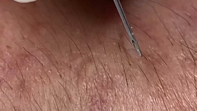 Enjoy Every Day With The Best Video Loan Nguyen Spa Official 1613