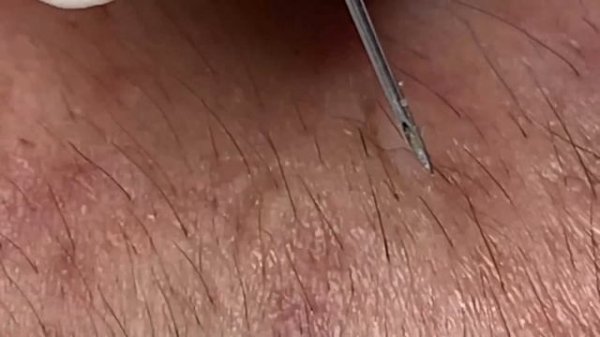 Enjoy Every Day With The Best Video Loan Nguyen Spa Official 1613